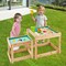 Natural Fir Wood 2-in-1 Sensory Tables Set with Storage & Cover
